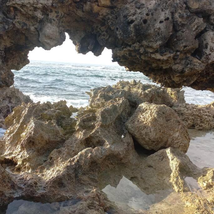 דירות לה מול Les Pieds Dans L'Eau Chez Syl מראה חיצוני תמונה